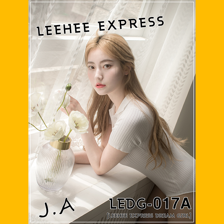 LeeheeExpress 042 LEDG-017A+B - J.A(99)